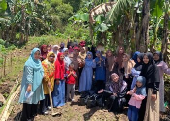 KEPUTRIAN DPD LDII KOTA AMBON MENGADAKAN KEGIATAN MENANAM SAYURAN